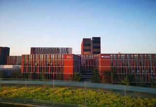 创意墙体手绘项目