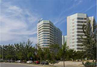 河北征询叫了只炸鸡加盟什么价格