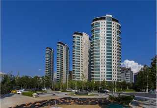 上海高分子密封圈报价